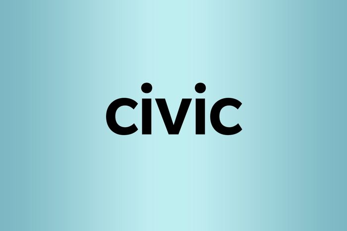 civic palindrome words