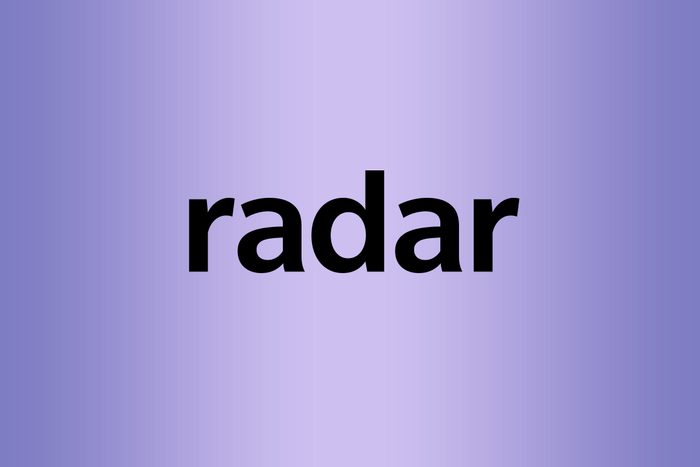 What is a palindrome radar