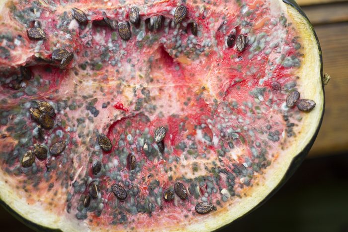 rotten watermelon with mold