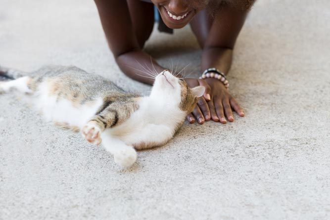 Beautiful afro american woman with her cat on the terrace. Concept of spending time with our pets and relax time.