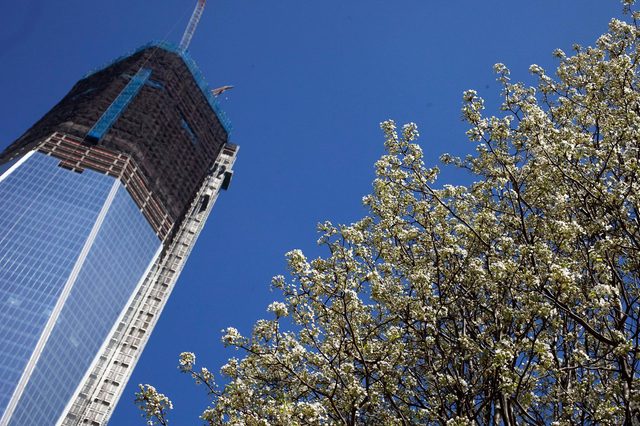 11 Fascinating Facts About One World Trade Center