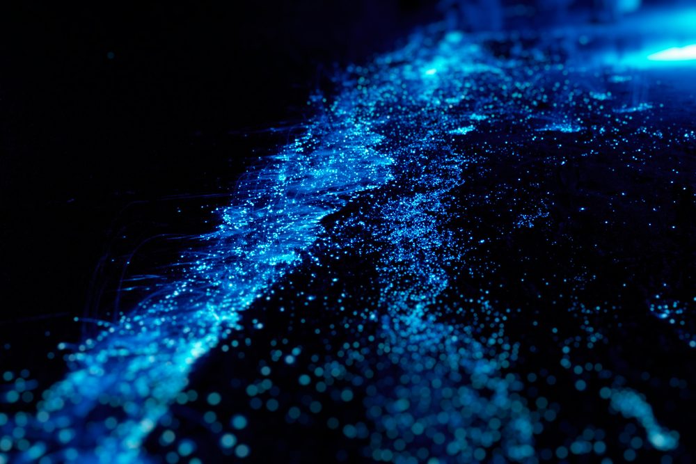 Bio luminescence. Illumination of plankton at Maldives. Many bright particles.