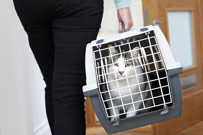 Woman Taking Pet Cat To Vet In Carrier