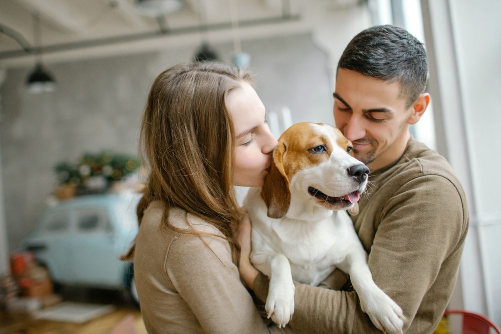 Young couple of caucasian male and female with beagle in dining room