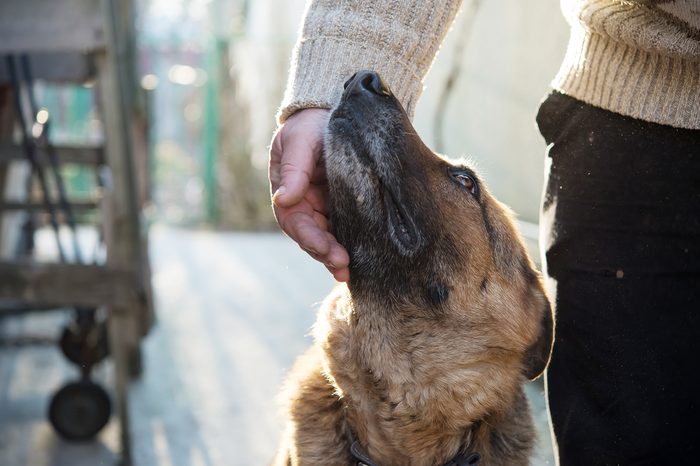 Man and his German Shepherd dog