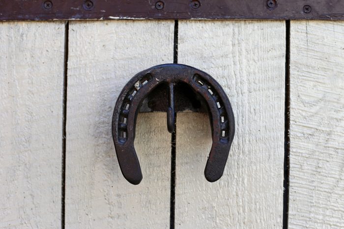 The horseshoe hangs on the wall of the stables for good luck.