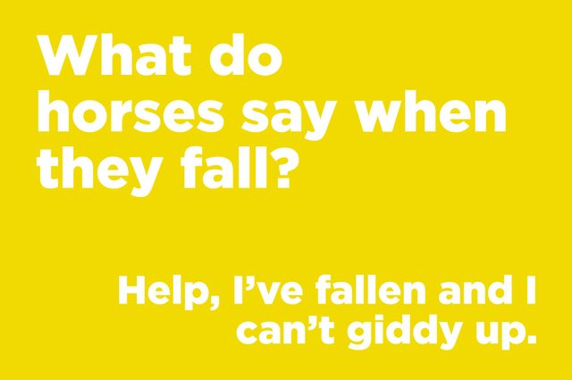 horses fall
