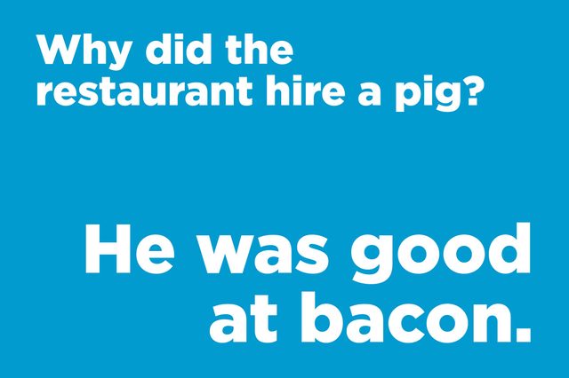 hire a pig