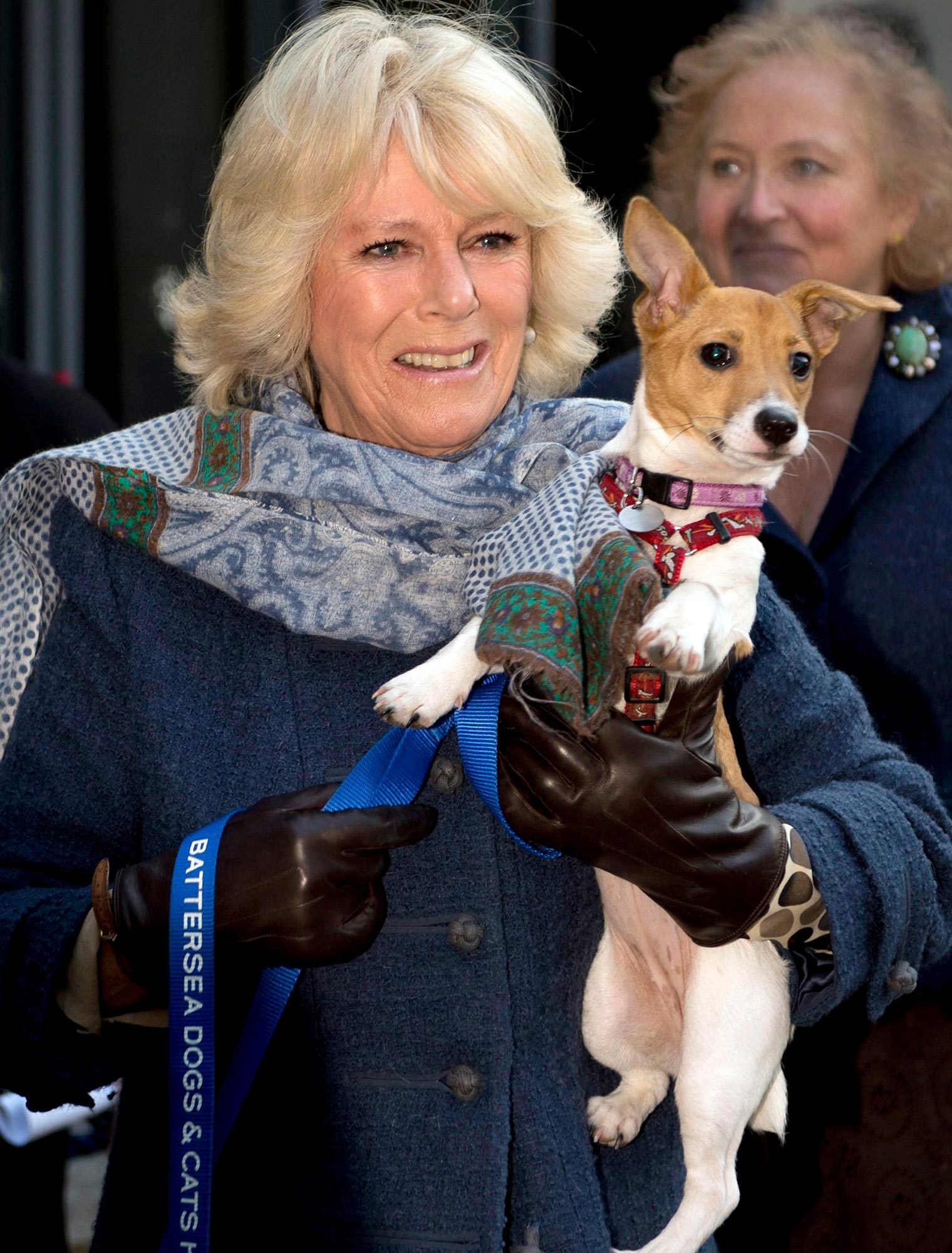 Camilla Duchess of Cornwall