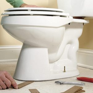 rocking toilet