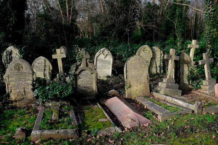 Highgate cemetery