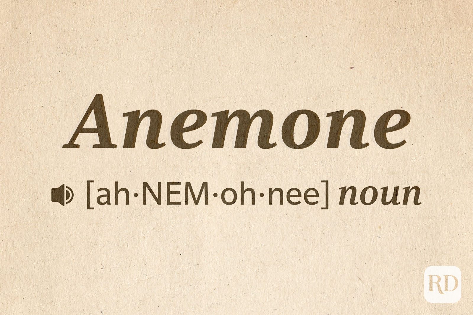 14 Hard Words To Pronounce Text: Anemone