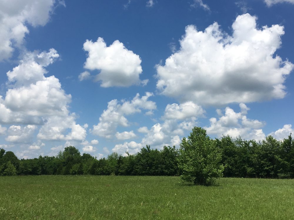 Honey Springs Battlefield