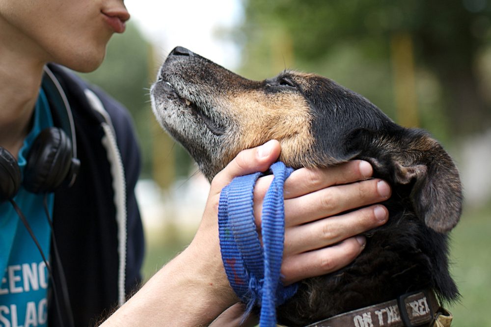 Young hansome male having fun with his lovely dog, snuggling, stroking and petting, sitting on the grass. Close friendship between owner and pet. Best friend. Animal shelter.