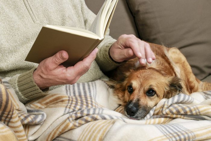 Old man sitting on the sofa with his lovely dog and book