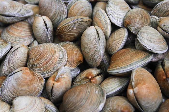 fresh clams