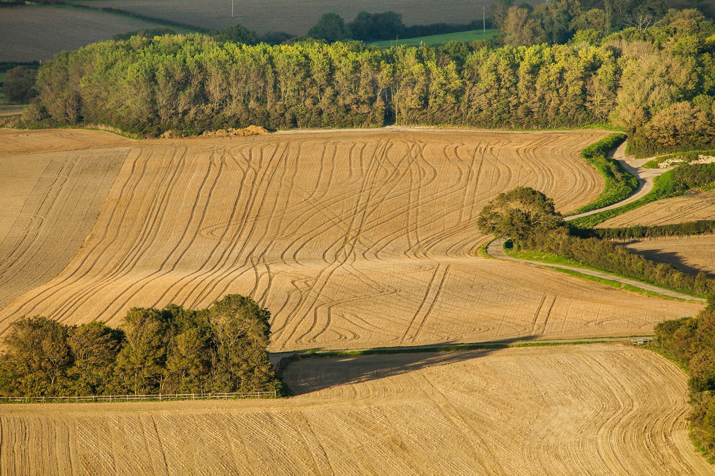 England