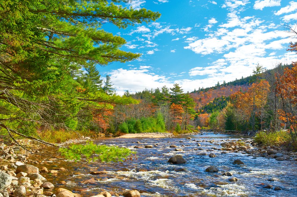 Swift River at autumn in White Mountain National Forest, New Hampshire, USA.