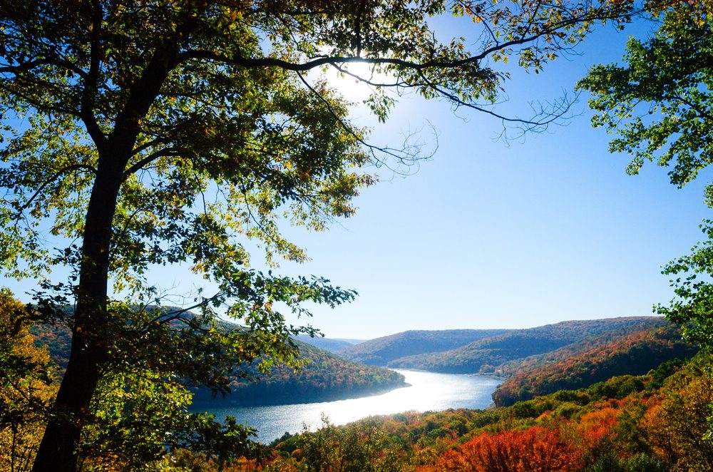 Curved Fall River at Allegheny National Forest 