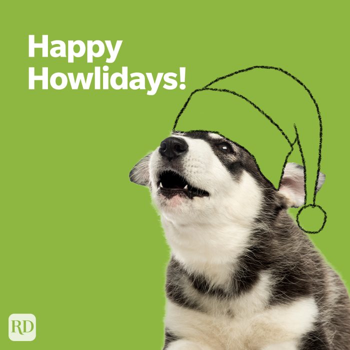 Dog Pun Happy Howlidays