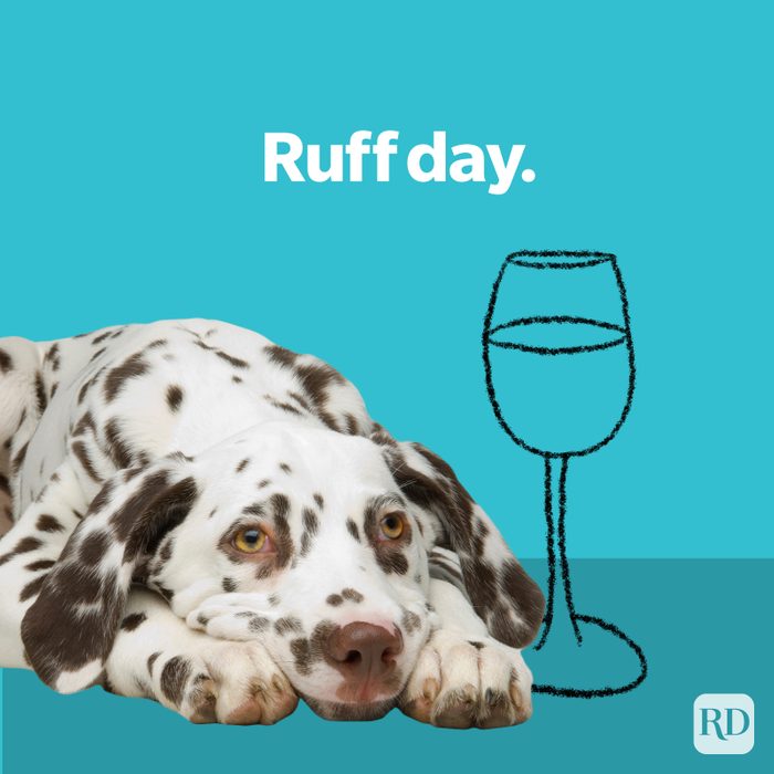 Dog Puns Ruff Day