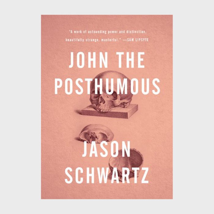 John The Posthumous Book