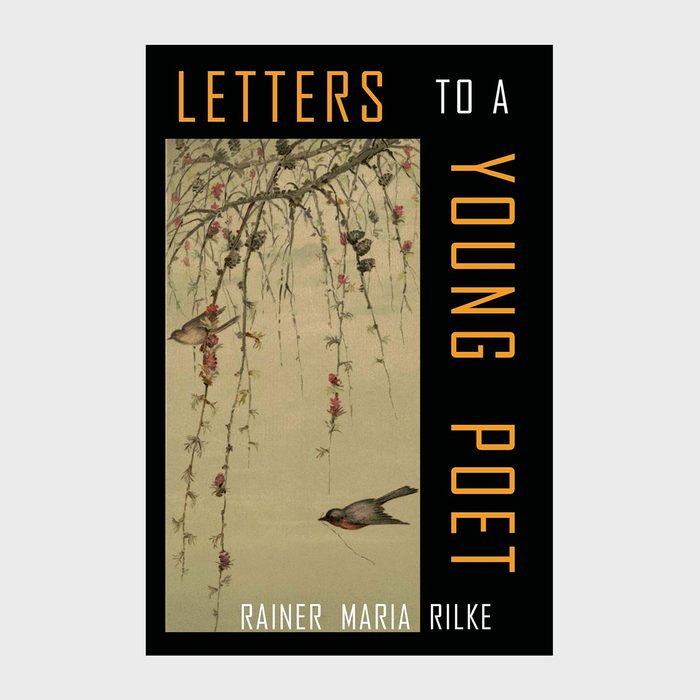 Letters To A Young Poet Book