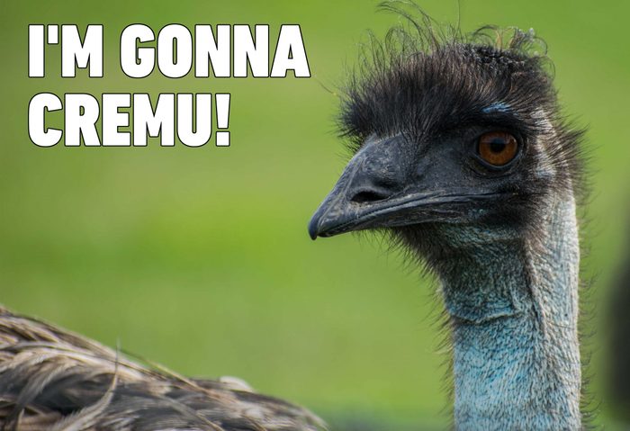 emu
