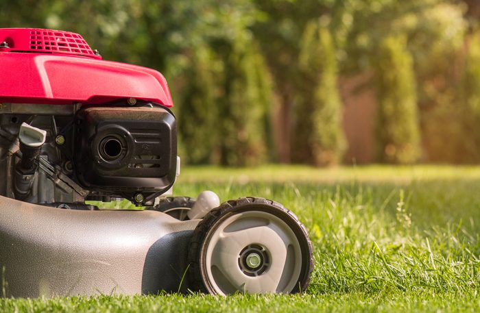 Red Lawn mower cutting grass
