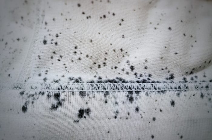 Black mold on clothes, blurry and too soft focus