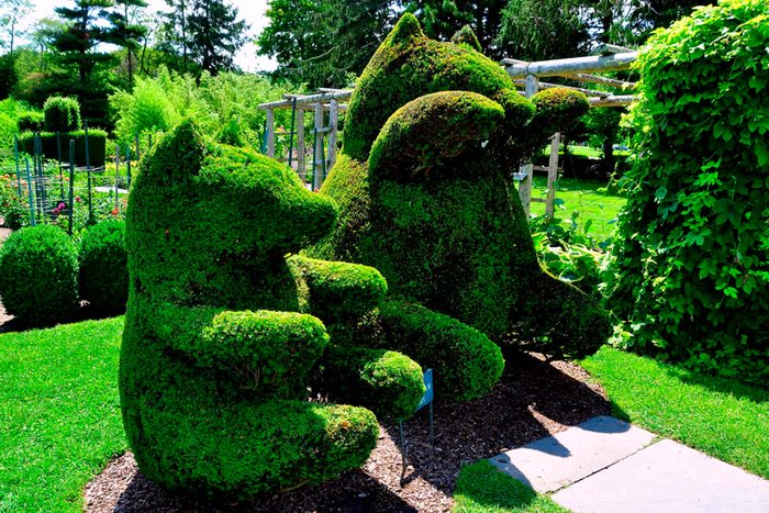 Green animals topiary garden at a hidden gem in Rhode Island