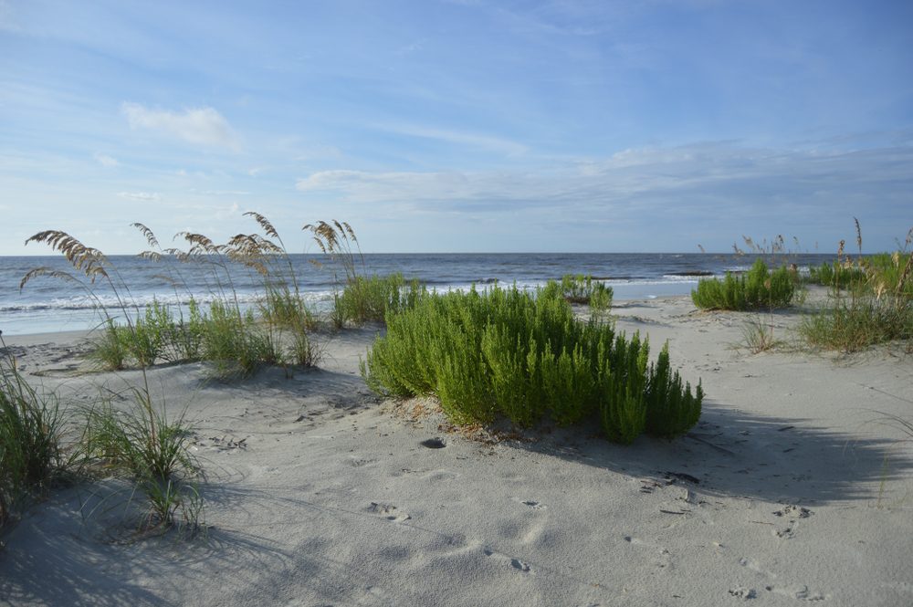 St. Simons Island, GA East Beach
