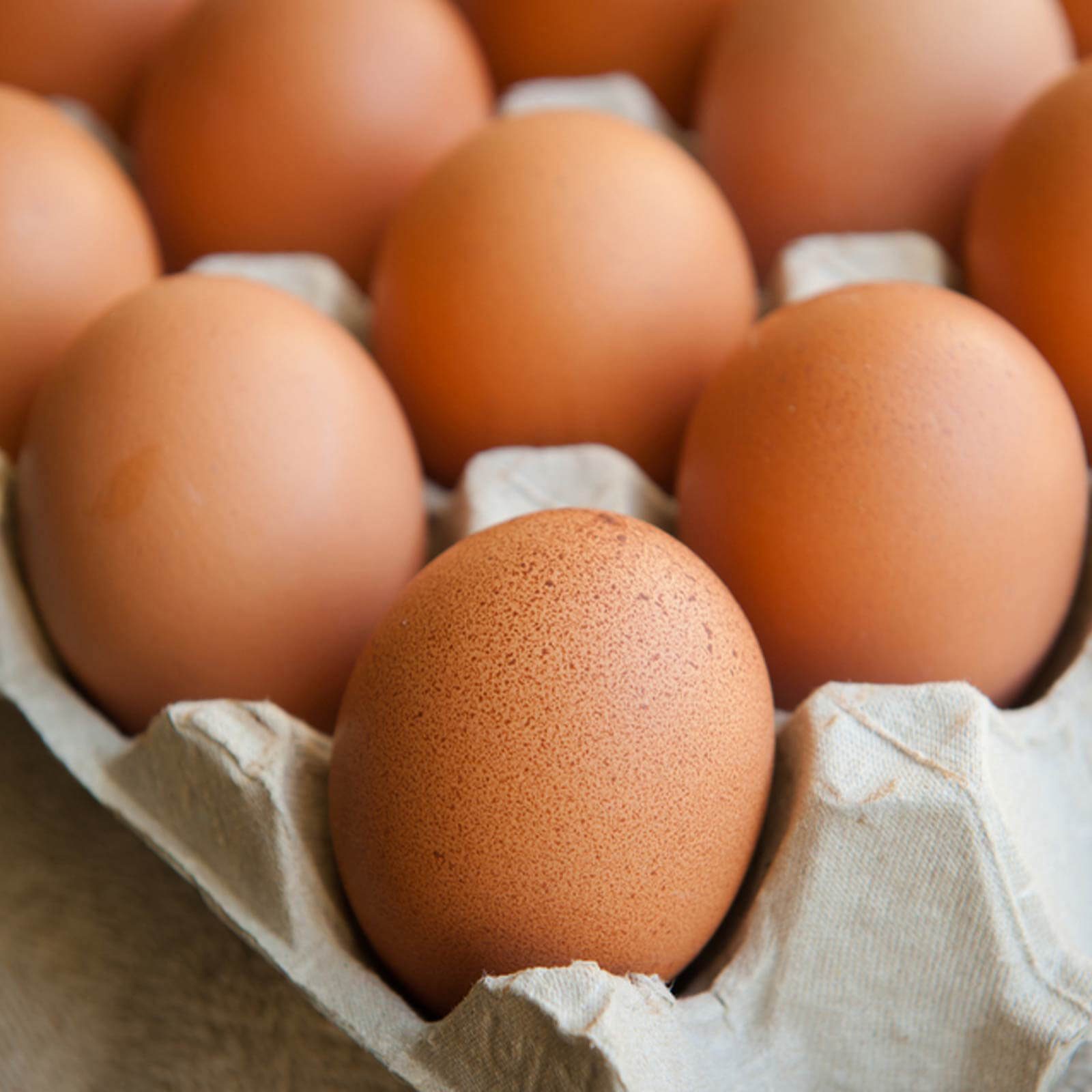 Eggs