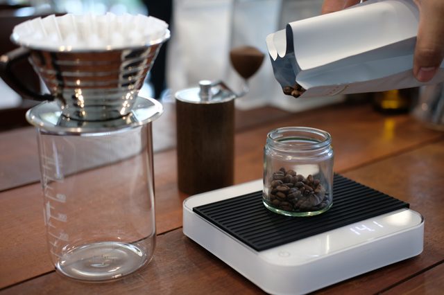 Coffee bean inside the glass coffee grinder tray on the professional scale preparing for brewing pour-over coffee. Professional barista equipment prepare for brewing drip coffee.