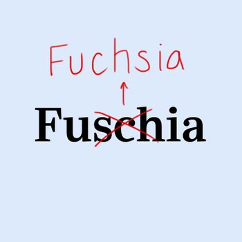 Fuchsia