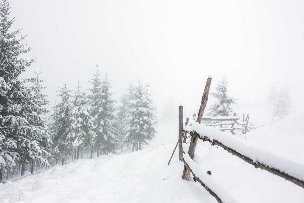 Beautiful winter landscape with snow covered trees and fence