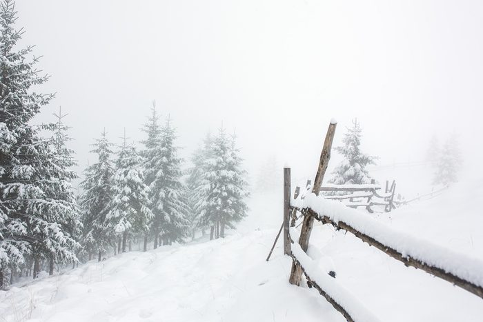 Beautiful winter landscape with snow covered trees and fence