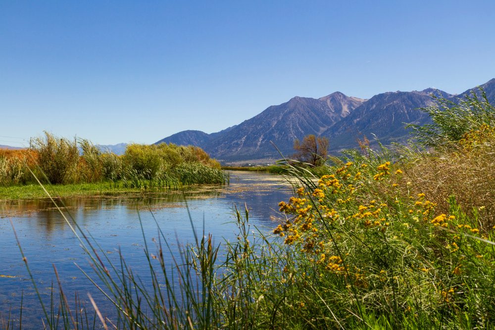 From a bend in the West Fork Carson River near Genoa, Nevada, looking towards the Pine Nut Mountains.