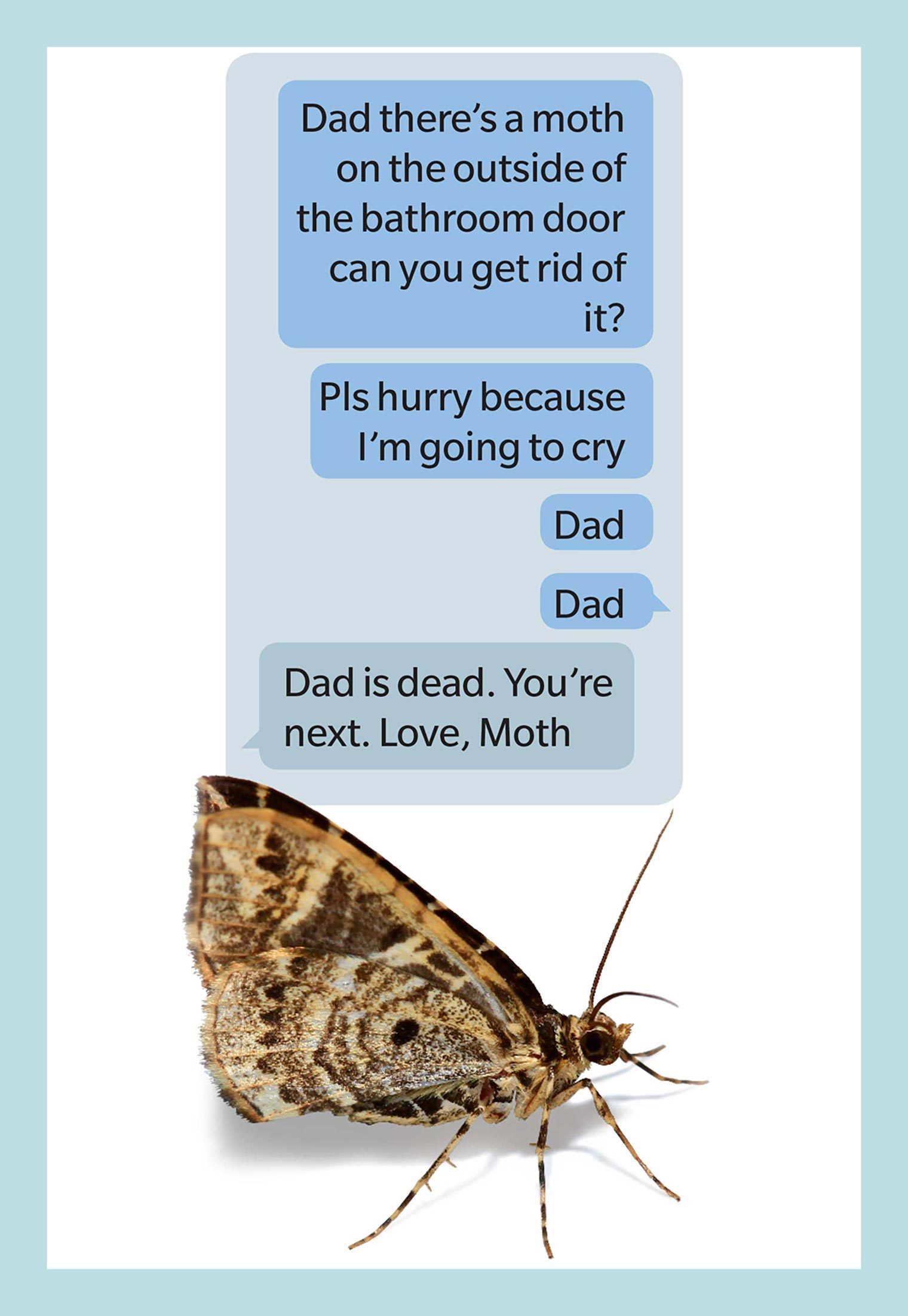 Moth Dad Joke