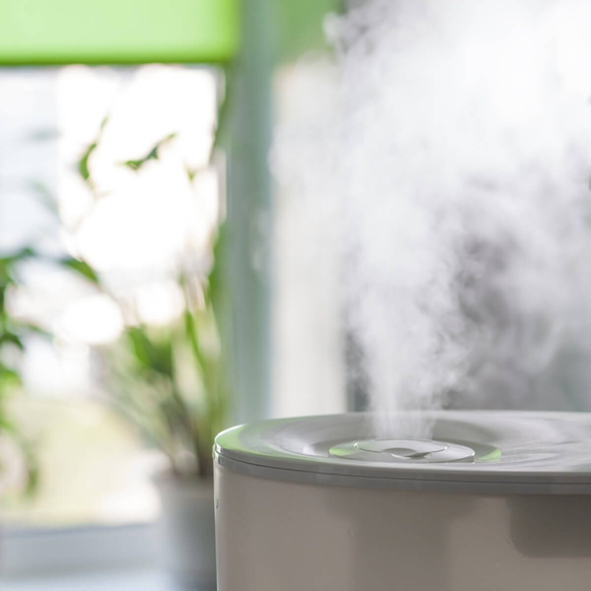 dfh8_shutterstock_486052576 humidifier