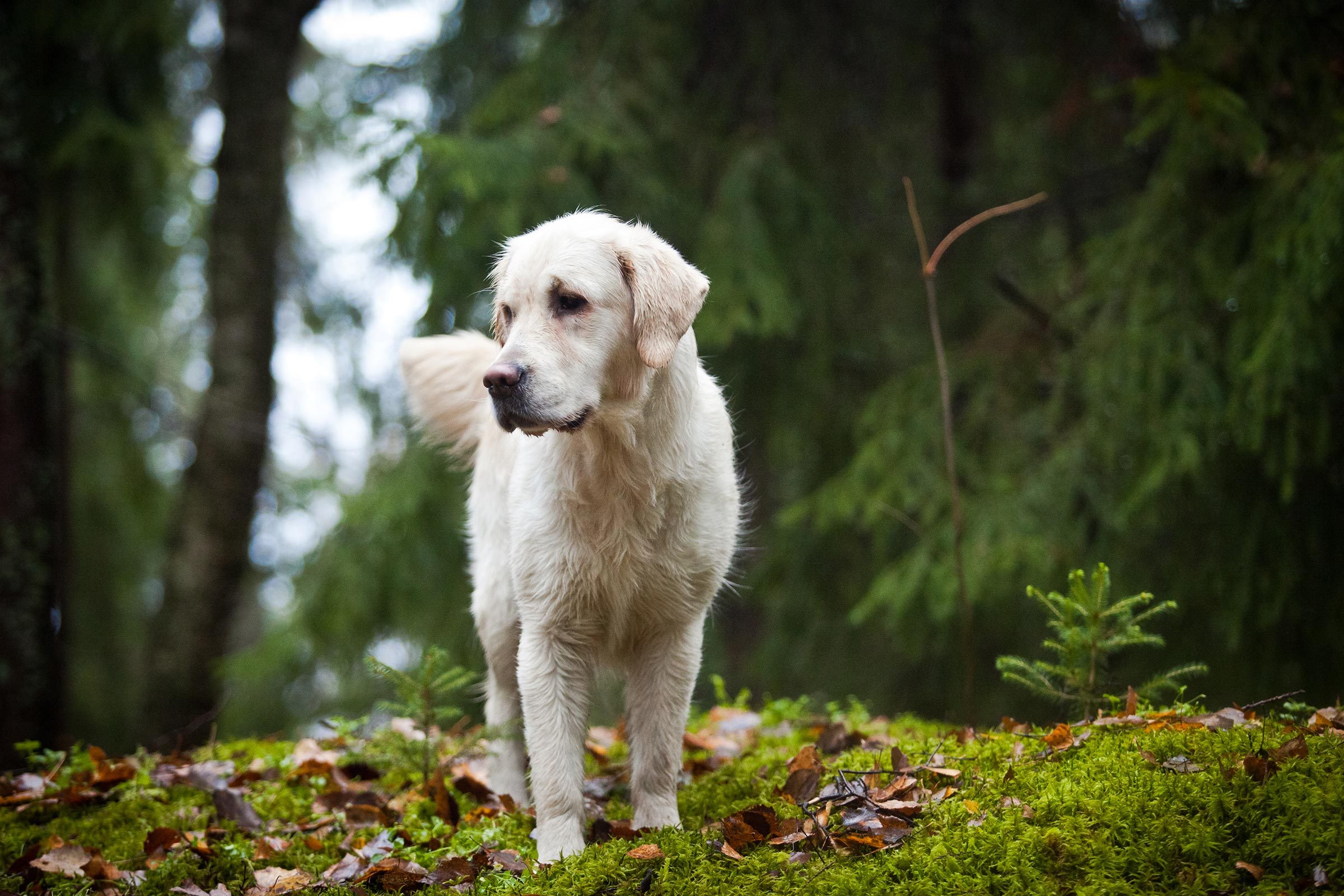 13 Things That Will Surprise You About What It's Really Like to Be a Mail Carrier