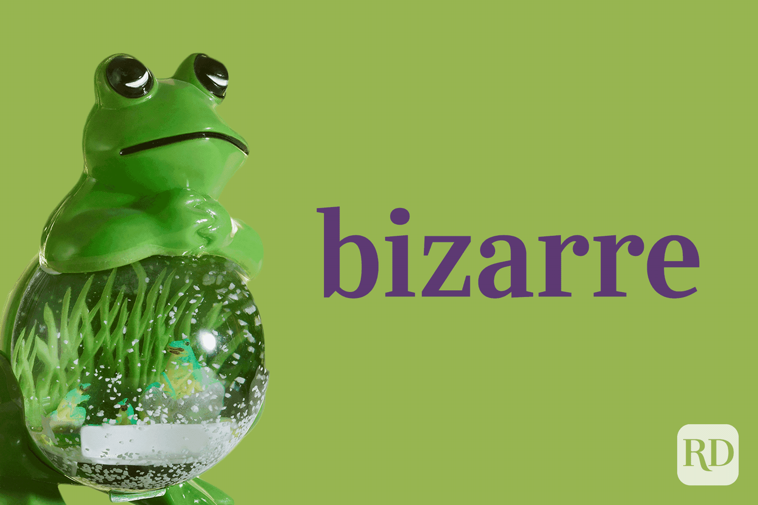 21 Commonly Misspelled Words Bizarre