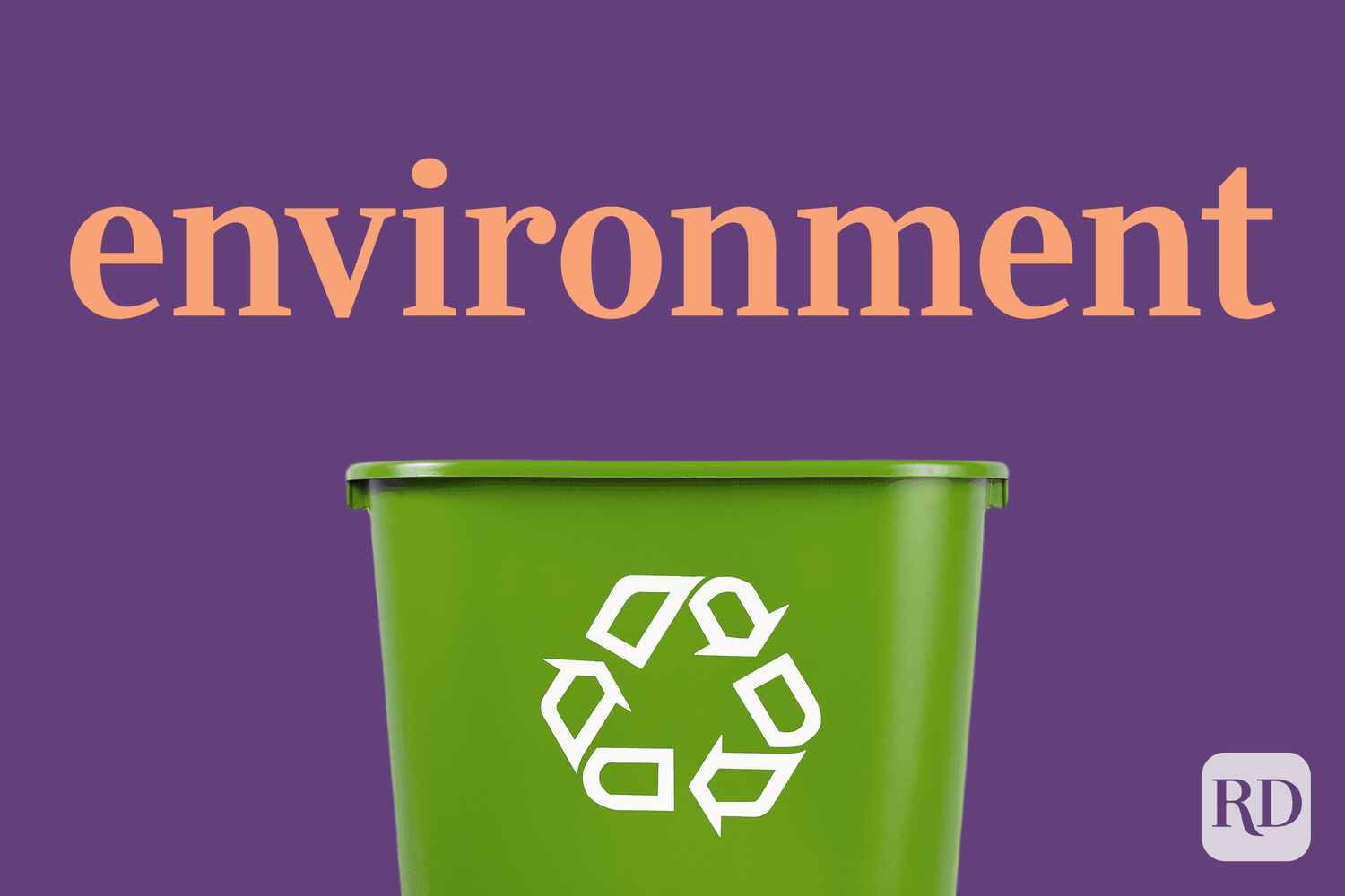 21 Commonly Misspelled Words Environment