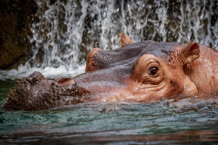 Cincinnati Zoo