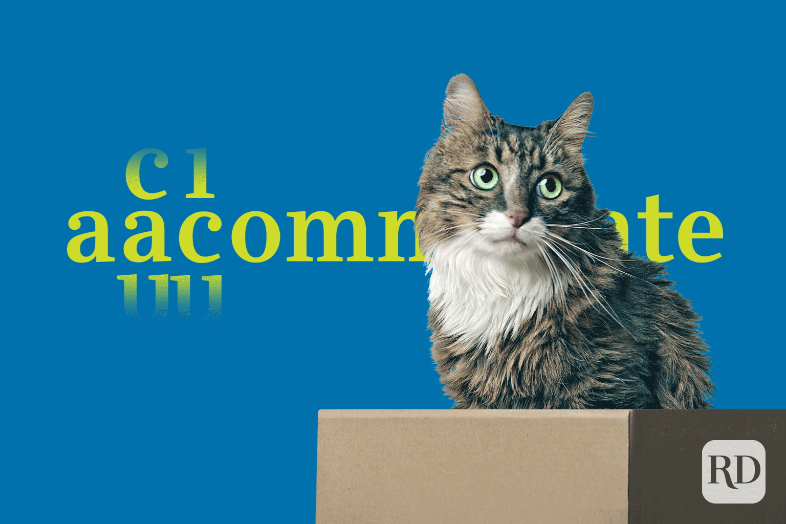 Accommodate
