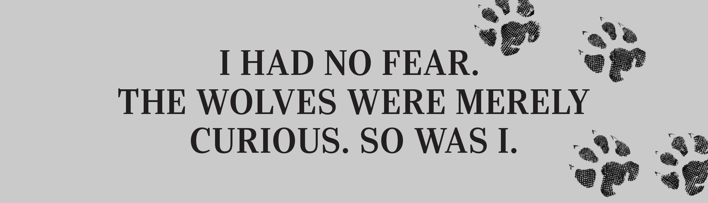 I had no fear. The wolves were merely curious. So Was I. 