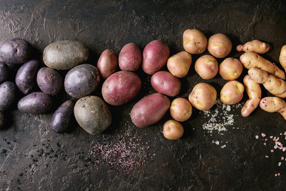 Variety of raw uncooked organic potatoes different kind and colors red, yellow, purple with various of salt over dark texture background. Top view, copy space