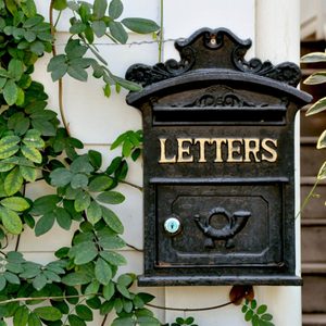 letters mailbox plants