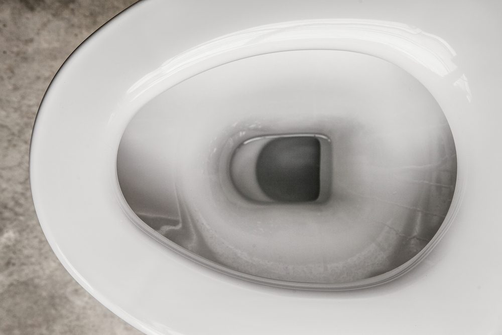 White toilet bowl in a bathroom