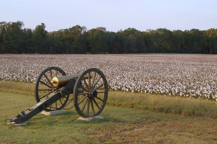 Cannon in civil war park